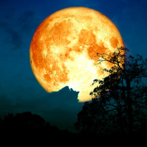 Червеева Луна на 3 март: Пълно лунно затъмнение, астрологично влияние и всичко за наблюдението