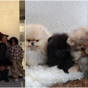 Ким Кардашиян с 4 нови кучета: В какво обвиняват нея и децата ѝ? (СНИМКИ)