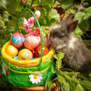 Това ще промени начина, по който празнувате Великден! (ВИДЕО+СНИМКИ)