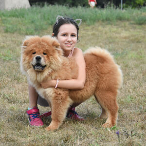 Най-неподходящите породи кучета за дом с малки деца (СНИМКИ + ВИДЕО)