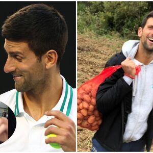 Новак Джокович - шампион на корта, перфектен съпруг у дома. А на нивата с картофи? (ВИДЕО)