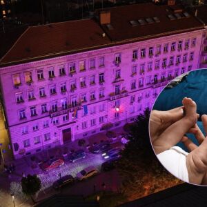 Лилава светлина за най-малките герои: на 15 ноември България ще бъде осветена в лилаво