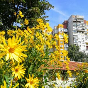 Тези имена празнуват на 1 май