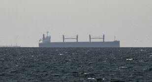 Над 15 военни кораба на САЩ блокират Ормузкия проток