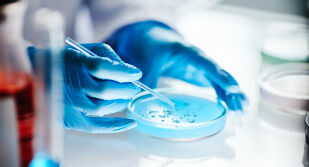 Учени успяха да неутрализират генетичната причина за синдрома на Даун