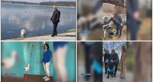 Как кучета, котки и други представители на фауната влязоха в предизборната битка