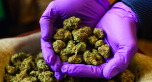 Турция конфискува над 200 кг марихуана на границата с България