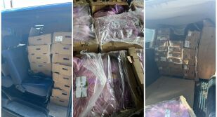 Митничари откриха 1,5 тона пилешко месо, натъпкано в микробус