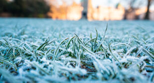 Жълт код за слани в 7 области за четвъртък – 23 април