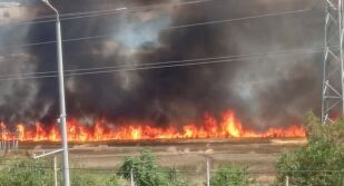 Изгасиха пожара в землището на село Шума