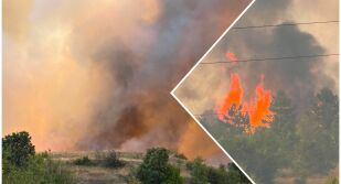 Пожарът край АМ „Тракия“ е локализиран, движението по магистралата е възстановено