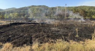 Пожар в Пловдивско: Искра от товарен влак вероятно е причинила огъня (СНИМКИ)