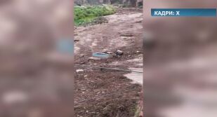 Един загинал и 15 в неизвестност след внезапно наводнение в Гранд Каньон (ВИДЕО)