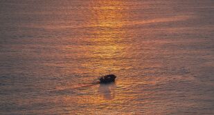 Трима загинаха, 18 са в неизвестност, след като лодка с мигранти се обърна край Гърция