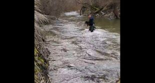Пожарникари от Девин спасиха ловно куче, озовало се в буйните води на река (ВИДЕО)