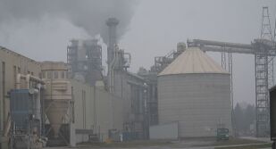 РИОСВ във Велико Търново отново ще състави акт на „Кроношпан“ за разпространение на миризми