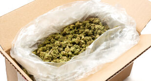 Един тон марихуана беше конфискуван в склад на фирма в Северна Македония 