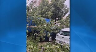 След мощната буря в София: Жител на кв. 