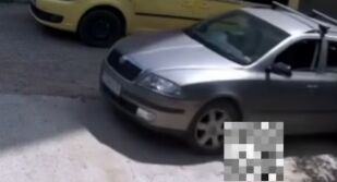 Задържаха мъж, прегазил котка в Казанлък