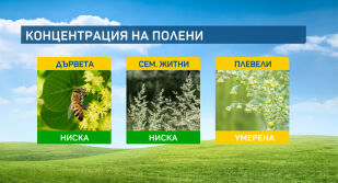 Сезонът на полените продължава основно с пелин и коноп
