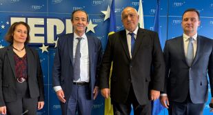 Борисов: България и Франция могат да задълбочат сътрудничеството си в енергетиката