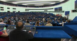 От 2007 г. насам: Колко силно се чува българският глас в европарламента? 