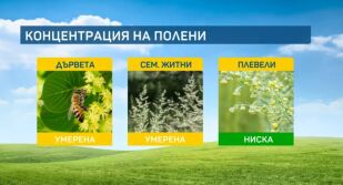 Полените на дърветата постепенно намаляват, за сметка на житните