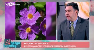 Снимка Преди обед - 07.10.2025