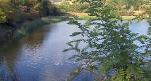 Очакват се повишения на речните нива през следващите два дни