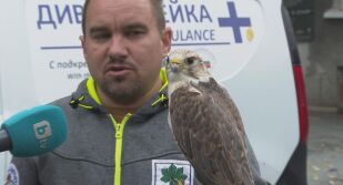 Ромео е топ мъжкар - на 32 години е баща на 60 деца