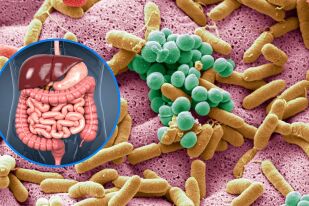 Какво е инфекция с кампилобактер: Най-честото хранително отравяне в ЕС