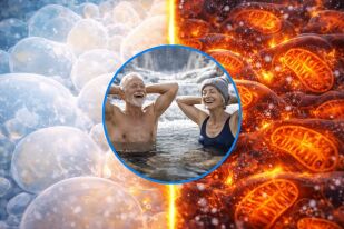 Може ли студът да влияе на метаболизма и стареенето?