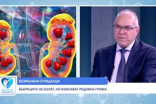 Бъбречно здраве - бъбреците не болят, но изискват редовна грижа