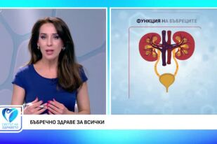Как да пазим бъбреците си здрави?