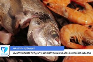 Симптоми, източници и методи за усвояване на желязото