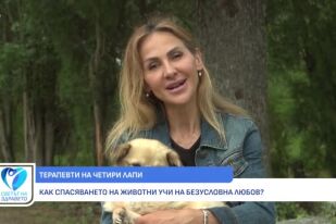 Снимка Животните: Терапевти, които се грижат за нашето здраве (ВИДЕО)