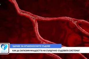 Как да запазим младостта на сърдечно-съдовата система?