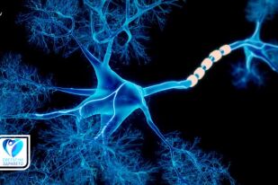 Как да стимулираме мозъчната активност чрез предизвикателства?