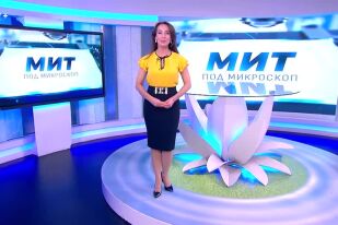 Мит под микроскоп: Развива ли се детският мозък само с учене? (ВИДЕО)