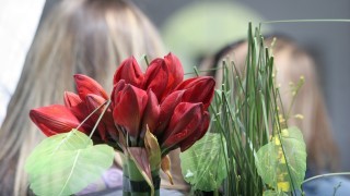 Снимка: И тази година се очаква скок на цените на цветята преди 8 март