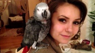 Нина и Иън са на път да си направят зоологическа градина?