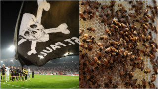 Германски клуб се захвана с производство на мед