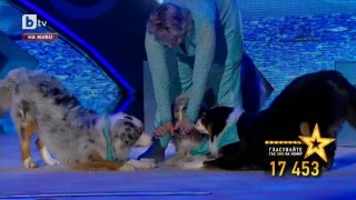 Гласувай за Веселка Илиева
