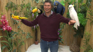 Балъков поговори с папагали (ВИДЕО)
