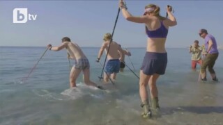 От Алпите до окена със ски (ВИДЕО)