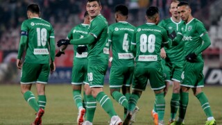 96,2% от головете на 