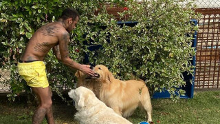 Неймар играе футбол с кучета, докато подготвя завръщането си в 