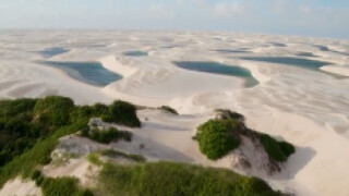 Да се носиш по 