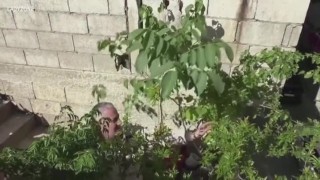 Да превърнеш покрива на къщата в градина по време на карантина (ВИДЕО)