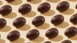 Белгийска фабрика за шоколад затваря заради случаите на салмонела с шоколадови яйца